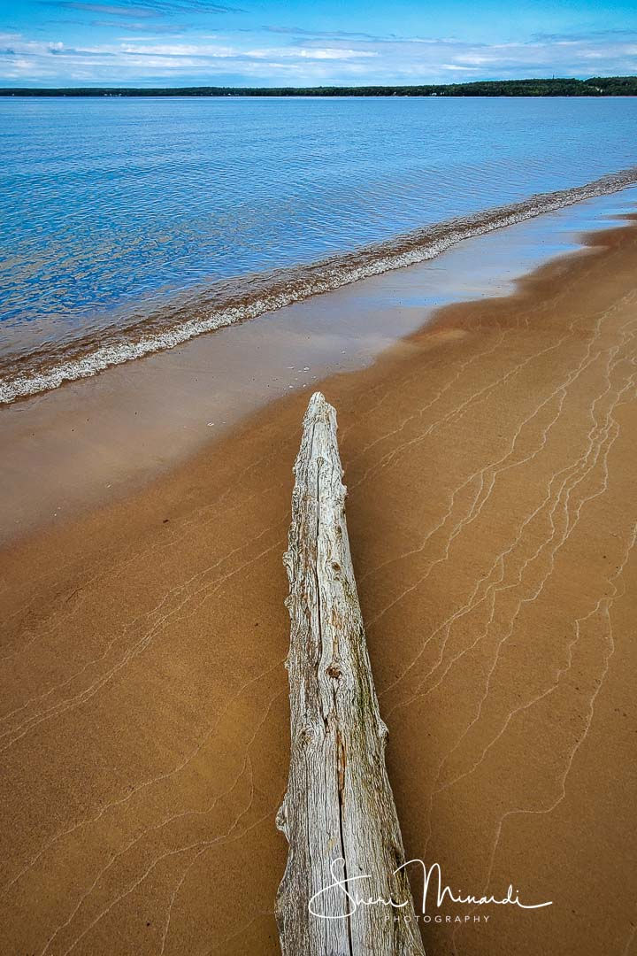 Batchewana Bay Driftwood, September 2, 2022-1