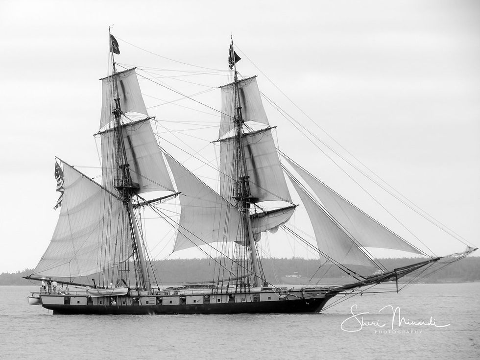 Uss Briggs Sailing B & W edited