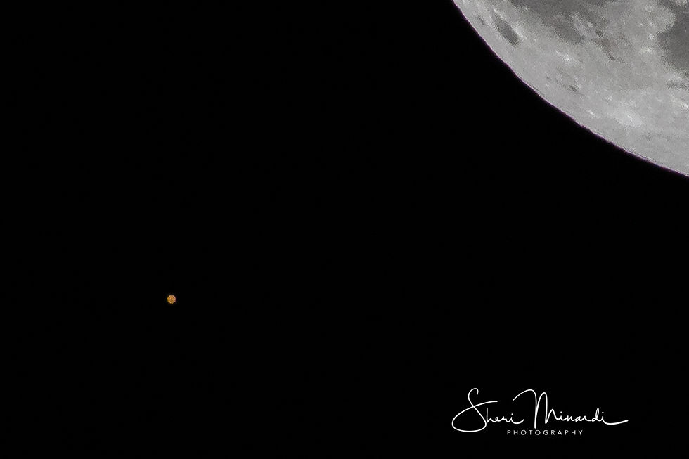 1. Mars Occultation of the Full Cold Moon, Dec. 7, 2022-2