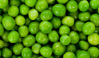IQF Tunnel freezer - Peas and vegetables