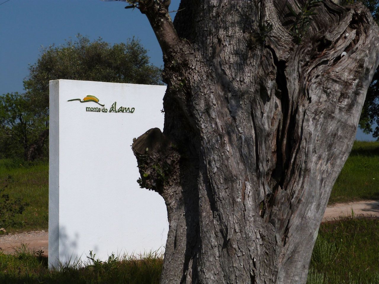 Entrada do Monte do Álamo