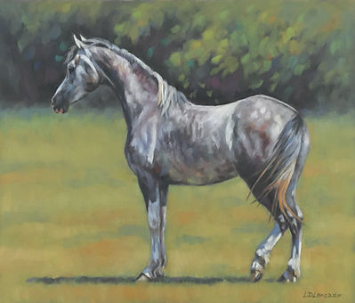 Horse Art by Equestrian Artist Lorna Lancaster - Arab horse pastel painting