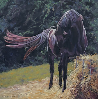 Horse Art by Equestrian Artist Lorna Lancaster - Black horse pastel painting