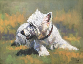 Westie pastel painting
