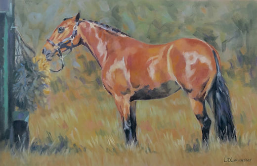 Bay horse pastel painting