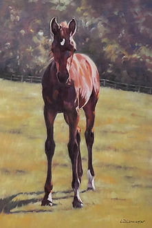 Horse Art by Equestrian Artist Lorna Lancaster - Foal in field pastel painting
