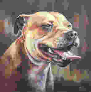 Pastel pet portrait of a Staffie Dog
