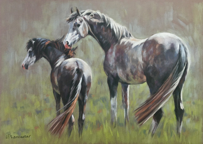 Grey Welsh and Arab pastel painting