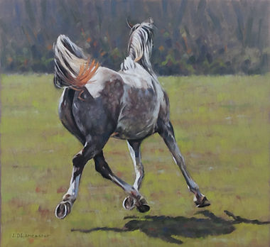 Horse Art by Equestrian Artist Lorna Lancaster - Grey Arab Horse Pastel Painting