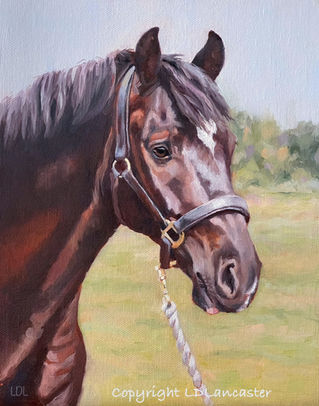 Dark Bay Welsh Cob Oil Painting