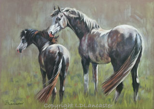 Grey Arab and Welsh Pony Pastel Painting