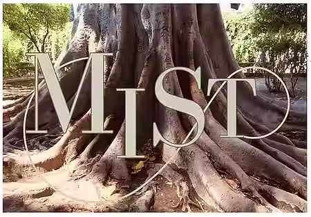 MIST Counselling Tree Roots