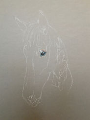 IMG_7140.jpeg