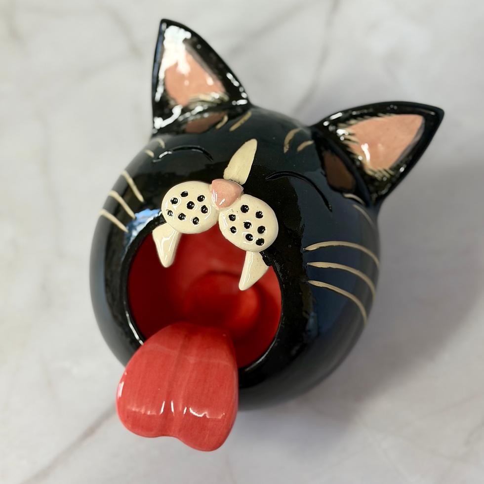 Thumbnail: Kitty Salt Vault