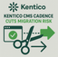 Kentico CMS Updates