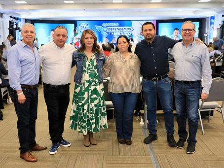 MÁS DE UN MILLÓN DE MICHOACANOS SIN ACCESO A SERVICIOS DE SALUD: DIPUTADOS FEDERALES PAN