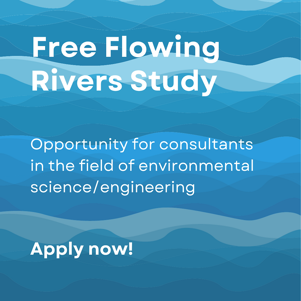 VACANCY: Consultant for Free Flowing Rivers Study as part of DANUBE4all project