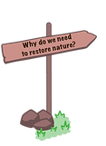paal 1.png