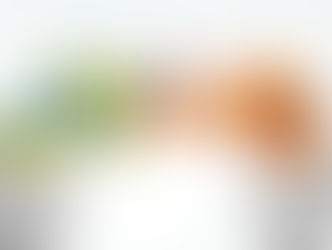 From Research to Reach: Communicating DANUBE4all