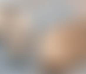 WHAT IS RENTVESTING?