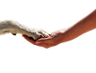 GettyImages-177107485_edited.png
