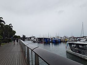20240811_140517.jpg