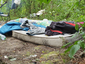 Festival Salvage Replacement Fundraiser