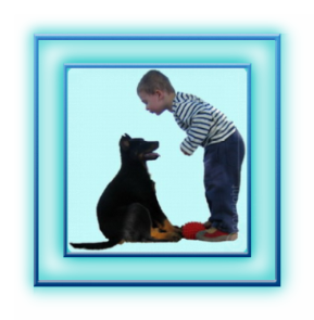 elevage de chiens beauceron, berger de beauce, bas-rouge, chiots noir/feu ou arlequin à vendre