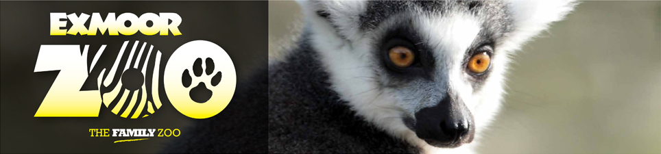 Exmoor Zoo