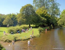 Wild Swimming