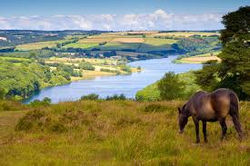 Wimbleball Lake