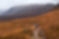 Depositphotos_114134930_XL.jpg