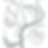 WEB PNG.png