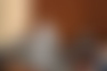 11/24　国会活動