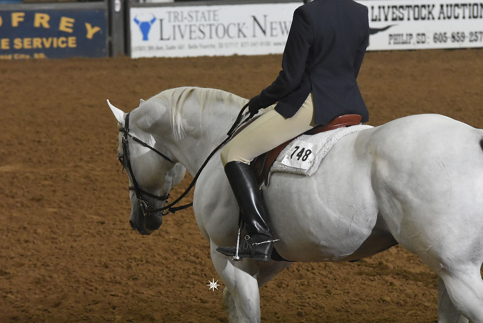 AQHA917cp (28)