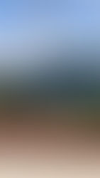 Oli Perez is an Otter!