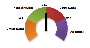 Body Mass Index Biozoom Vitalitycheck, Biologisches Alter, Hautalterung, Gesund Ernähren, Vitamine