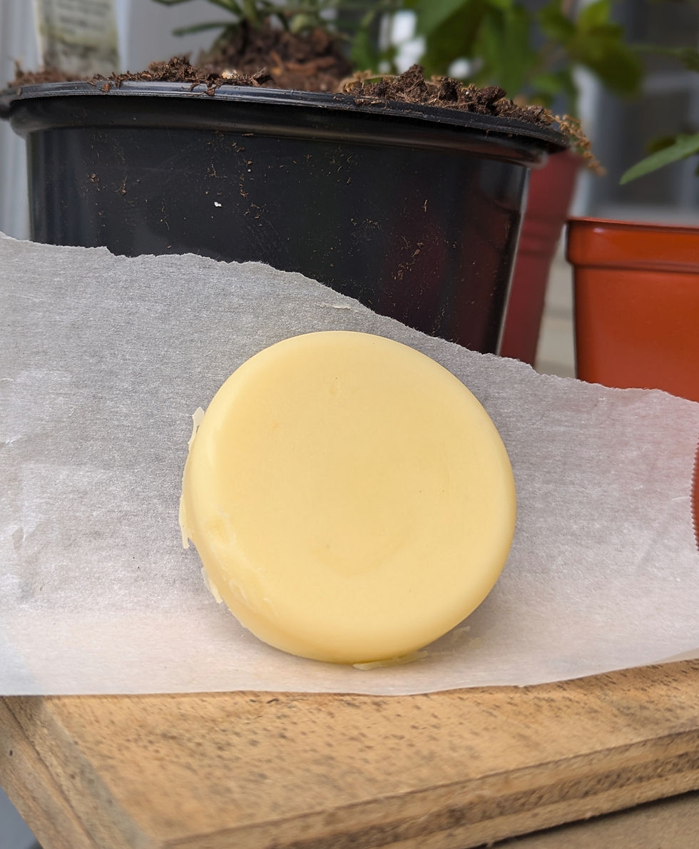 Thumbnail: SUNRISE Lotion Bar