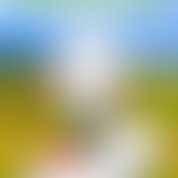 How to Replace a Lost Title Deed in Kenya (2026 Step-by-Step Guide by Letash Real Estate)