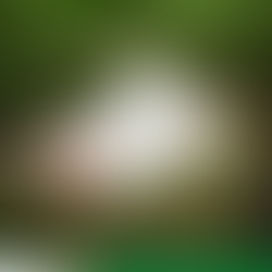 Title Deed Verification in Kenya