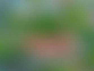 Why You Should Invest in Kitengela Prime & Affordable Plots