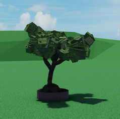 SNKU's Acacia Tree