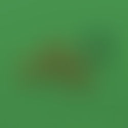 Unkuna's Pumpkin Patch Kit