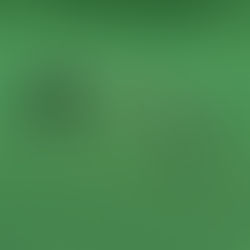 Robloxtheo's Traffic Gate