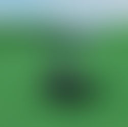 Car Park Entrance Gate