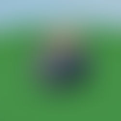 Onion's Big Ol' Toaster