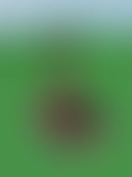 Christmas Launched Drop Tower