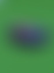 Red vs. Blue Bumper Cars