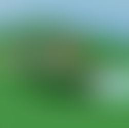 Pokemon River Rapids