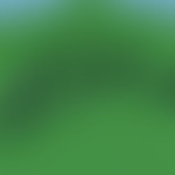 Compact Black Vekoma Launch